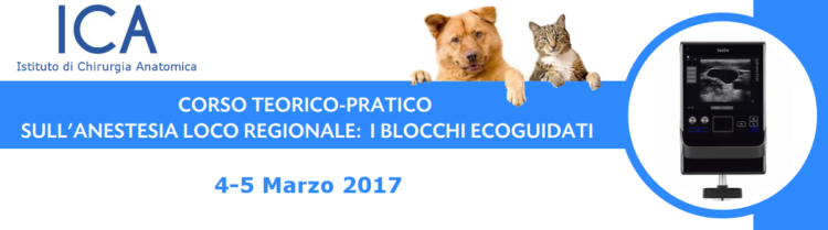 Corso Anestesia e Terapia del Dolore