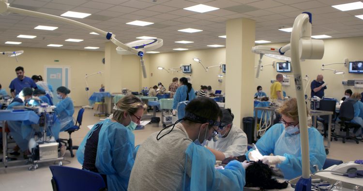 Dentistry 1 – Introduction to Dentistry, Diagnostics & Extractions