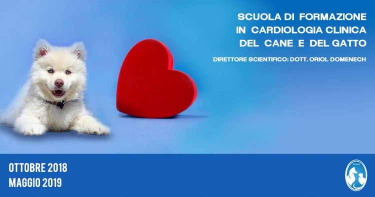 Scuola di formazione in cardiologia clinica del cane e del gatto – 2° Edizione