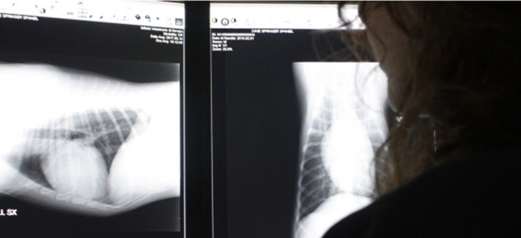 Corso pratico radiologia base del cane e del gatto